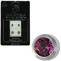 STUDEX Birthstone studs - reg bezel s/s - february / amethyst